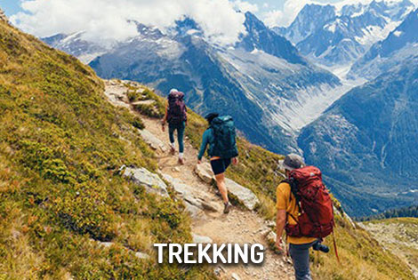 Gregory Backpacking - Rucksäcke für lange Touren, Trekking, Backpacking und Ausflüge